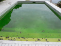 Методы очистки воды в бассейне
